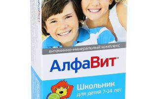 Vitamine für Geist und Gedächtnis für Schulkinder: welche zu geben