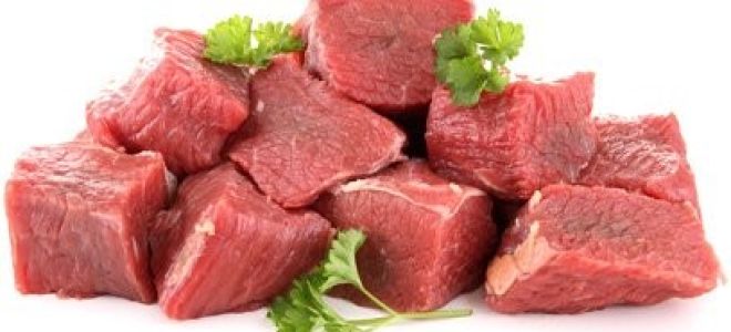 Wofür ist Rindfleisch gut?