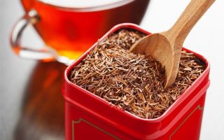 Rooibos-Tee (Rooibos): Nutzen und Schaden, Bewertungen