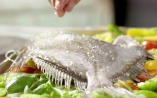 Dori Fisch profitiert