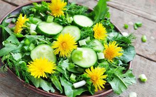 Löwenzahnsalat: Vorteile, wie man kocht