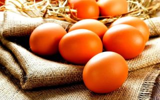 Welche Lebensmittel enthalten Lysin: Tabelle