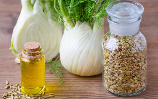 Fenchel: Nutzen und Schaden für die Gesundheit, Gebrauchsanweisung, Kontraindikationen
