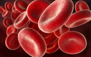 Mangel an Vitamin B12: wie man bestimmt und wie man nachfüllt