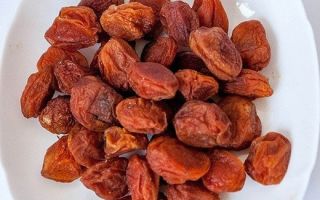 Warum ist Aprikose nützlich und um welche Art von Obst handelt es sich?