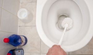 Как да почистите тоалетната от варовик: народни и специализирани средства