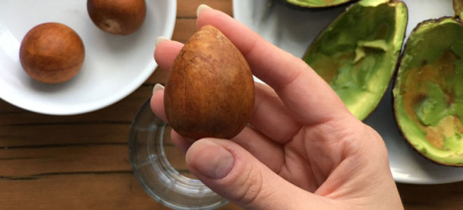 Ist es möglich, einen Avocadosamen zu essen: Nutzen und Schaden für den menschlichen Körper