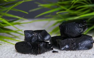 Shilajit: nützliche und medizinische Eigenschaften, Kontraindikationen, Einnahme, Anweisungen