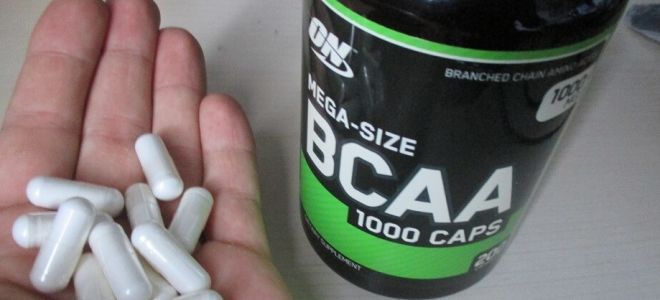 Manfaat dan keburukan BCAA (BCAA), apa manfaatnya dan bagaimana pengambilannya
