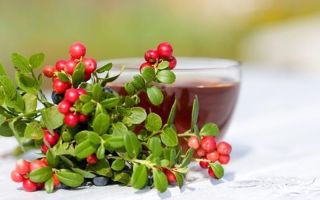 Ползите и вредите от чая, приготвен от листа от боровинки, плодове