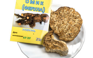 Medizinische Eigenschaften, Nutzen und Schaden von Omik (Dzhungarian Ferula)