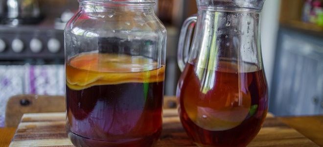 Die Vor- und Nachteile von Kombucha, wie man es zu Hause anbaut