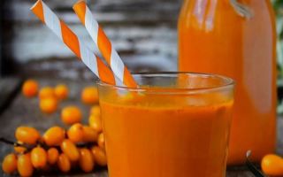 Warum Sanddornsaft nützlich ist, wie man ihn zu Hause macht