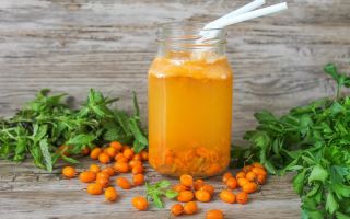Warum Sanddornsaft für die Gesundheit nützlich ist