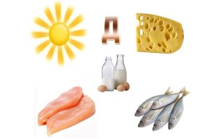 Vitamin D im Körper eines Mannes: wie man erhöht, wofür ist es