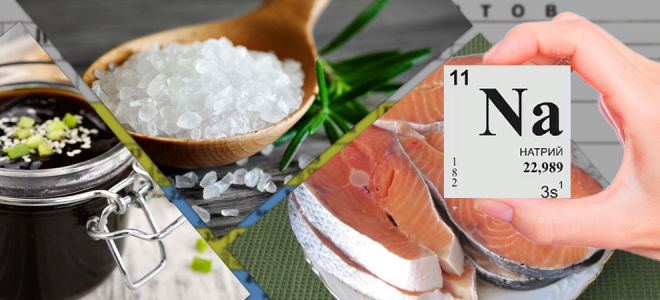 Lebensmittel, die Natrium in großen Mengen enthalten: Tabelle, Liste