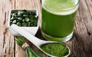Chlorella: nützliche Eigenschaften und Kontraindikationen, Bewertungen.