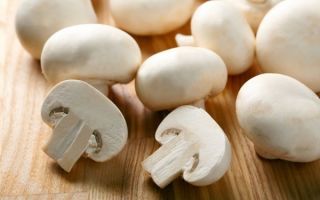 Champignons: Nutzen und Schaden für den Körper, wie man kocht