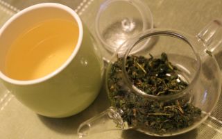 Thé oolong au lait (oolong): propriétés utiles et nocives