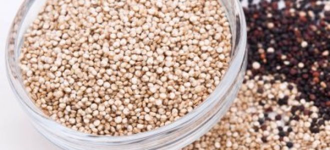 Die Vorteile und Nachteile von Quinoa für den Körper