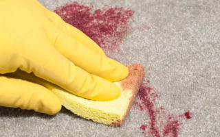 So entfernen Sie Blaubeeren von der Kleidung
