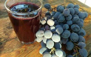 Traubensaft: Nutzen und Schaden, einfache Rezepte