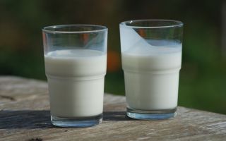Мътеница: какво е и как е полезно