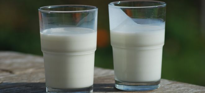 Мътеница: какво е и как е полезно