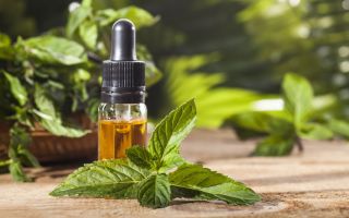 Medizinische Eigenschaften und Verwendung von ätherischem Pfefferminzöl