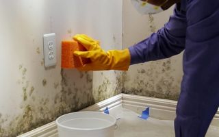 So entfernen Sie Schimmel an den Wänden in einer Wohnung