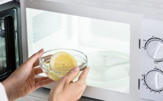 So entfernen Sie den Geruch aus der Mikrowelle