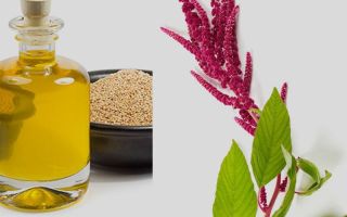 Amaranthöl: Nutzen und Schaden, wie man nimmt