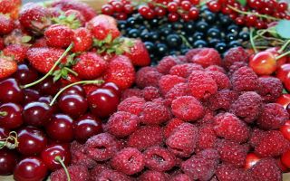 Welche Lebensmittel Kobalt enthalten: Liste, Tabelle