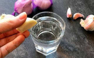 За какво е полезна водата с чесън: как да се пие на гладно сутрин, рецензии