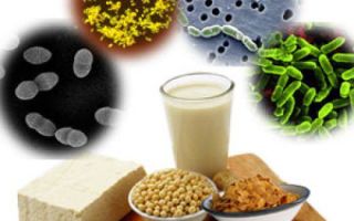 Gut Foods: Eine Liste von Probiotika und Präbiotika