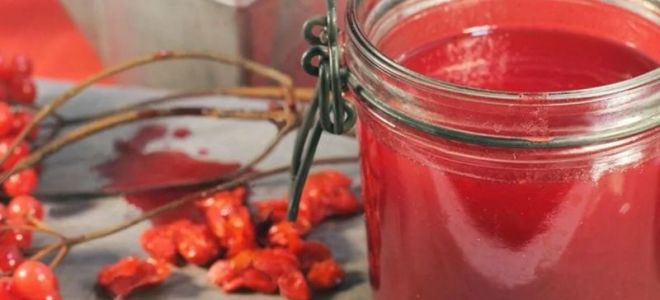 Wie zu nehmen, die Vor- und Nachteile von Viburnum-Saft