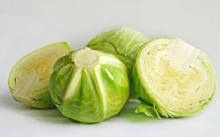 Защо бялото зеле е полезно, свойства и подготовка