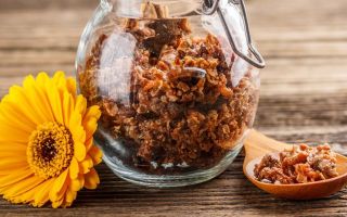 Was Propolis hilft, nützliche Eigenschaften und Kontraindikationen, wie zu nehmen