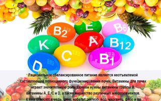 Vitamine für die Nieren: die Namen der besten Medikamente, die Verwendungsregeln