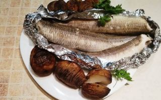 Риба Аржентина: снимка и описание, ползи и вреди