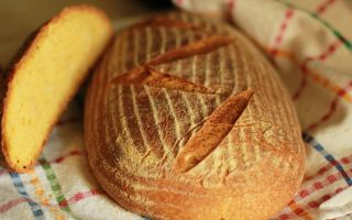 Warum Maisbrot nützlich ist, Zusammensetzung und Kaloriengehalt