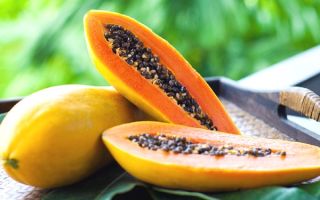 Papaya: vorteilhafte Eigenschaften und Kontraindikationen