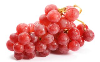 Продукти, съдържащи фитоестрогени за жени: списък, таблица