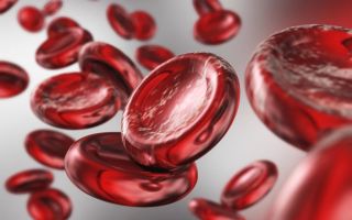 Vitamine per l'emoglobina: cosa sono necessarie, come prenderle
