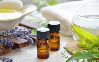 Verwendung und Eigenschaften von ätherischem Zitronenverbenaöl