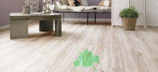 Wie man leuchtendes Grün von Linoleum abwischt