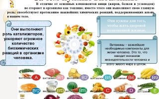 Die besten Multivitamine für Kinder mit Mikronährstoffen: Bewertungen