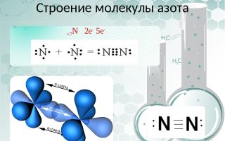 Продукти, съдържащи азот: таблица + списък