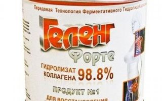 Vitamine für Gelenke und Knorpel für Sportler: Bewertung der Besten