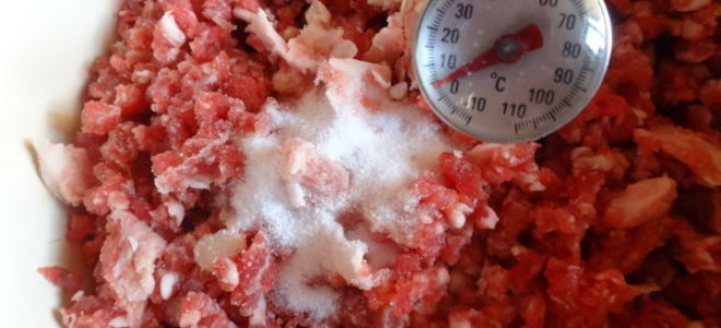 Lebensmittelzusatzstoff E340: gefährlich oder nicht, Auswirkungen auf den Körper